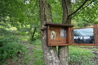 V Krkonoších dokázali pěstovat i pšenici. Pak je vysídlili a nikdo to neuměl - Seznam Zprávy